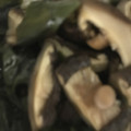 ma___111's cooksnap of when they made ワカメと干しシイタケのおかか炒め.