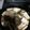 クックLB0KZO☆'s cooksnap of when they made 肉豆腐.