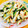 かわゆう1211's cooksnap of when they made きゅうりとささみの明太マヨソース和え♪♪.