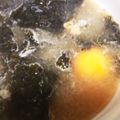 はらさわひでゆき's cooksnap of when they made 月見海苔みそ汁.