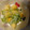 yobibaa's cooksnap of when they made 簡単♪柿と白菜のサラダ.