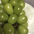 ひーちゃん食堂's cooksnap of when they made シャインマスカットの氷菓～お口直しに.