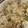 ネシープ's cooksnap of when they made ◎舞茸とシソの混ぜご飯◎.