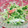 みっくママ's cooksnap of when they made 豆苗とカニカマのワサビマヨ.