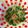 りんでありんす's cooksnap of when they made 3分で簡単☆かいわれとなめ茸のサラダ.