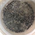 ma___111's cooksnap of when they made 激ウマ　黒ごまプリン.