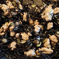 はらぺこ娘！！'s cooksnap of when they made 鶏玉そぼろとひじきの炒め煮.