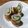 みわたけ's cooksnap of when they made ちくわきゅうりの飾り切り.