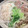 ﾌﾞﾚﾝﾀﾞ's cooksnap of when they made もやしの長持ち保存法.