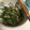 maxxxxxka's cooksnap of when they made 鯖の水煮缶とニラもやしのニンニクマヨ炒め.