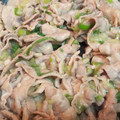 ルルちびロック's cooksnap of when they made とろみが旨い至福の“ねぎ塩豚炒め(丼)”.