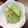 ERINGIE's cooksnap of when they made 簡単!!絶品!!はやとうりの漬け物★.