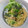 jnkar's cooksnap of when they made 水菜とベーコンと舞茸の和風パスタ.