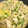 はらぺこしろうさぎ's cooksnap of when they made 豆腐ときのこのトロトロ卵とじ.