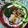 marilin36's cooksnap of when they made 【おもてなし料理】お手軽ローストポーク！.