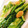 KAORULALA's cooksnap of when they made ★簡単で美味い！かぶの葉のにんにく炒め★.