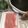 手抜きマン's cooksnap of when they made ほうれん草の豚しゃぶ鍋.