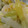 tchoupi's cooksnap of when they made パパッと副菜！白菜とネギの中華和え.