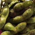 ミレーちゃん's cooksnap of when they made 枝豆の蒸し焼き☆おいしい茹で方より簡単.