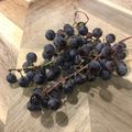 yokomaru's cooksnap of when they made 干しぶどう（自家製レーズン）.