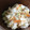 ハクヨワネ's cooksnap of when they made たっぷりきのこの炊き込みご飯.