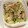 ぽっぽやん♪'s cooksnap of when they made レンジ時短！大根としめじと豆苗のみそ炒め.