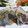 お山に帰りたいハイジ's cooksnap of when they made ♪秋刀魚の生姜焼き♪処理テク付き.