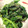 yocco74's cooksnap of when they made ［簡単副菜］ほうれん草のチーズ炒め.