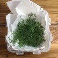 horseland's cooksnap of when they made ディルやイタパセなどハーブの保存私流♪.