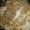 クックXHD8TT☆'s cooksnap of when they made 【簡単】今里焼きそば！.