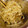 BiwacoJune's cooksnap of when they made もやしのナムル.