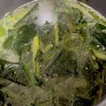 がんこママ♪'s cooksnap of when they made たっぷりワカメとニラの中華スープ.