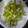 悠音まま's cooksnap of when they made アスパラとほたての ぽん酢炒め.