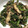 クックゆきぞう's cooksnap of when they made 春菊と椎茸のツナ炒め.