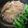 ありんぴー☆'s cooksnap of when they made スペアリブの煮込み.
