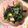りか໒꒱·'s cooksnap of when they made ヒジキとほうれん草のサラダ.