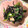 りか໒꒱·'s cooksnap of when they made ヒジキとほうれん草のサラダ.