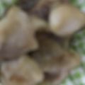 ma___111's cooksnap of when they made 焼肉のタレで♪鶏むね肉のスタミナ炒め.