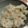 ふなちゅん's cooksnap of when they made 間違いない！鮭の炊き込みご飯★.