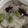 ma___111's cooksnap of when they made 簡単！タコ豆ご飯〜.