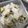 ねおみ's cooksnap of when they made シンプルな栗ご飯(白米入りおこわ).