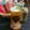 プニのふ04's cooksnap of when they made ビールが旨くなる「すだちビール」.