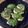 COOK玉手箱's cooksnap of when they made 『鶏ひき肉の大葉チーズ焼き』.