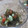 ペペロンシーロ's cooksnap of when they made もずく・きゅうり・トマトの酢の物.