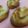 わさびちゅーぶ。's cooksnap of when they made 手が止まらん！サクサク絞り出しクッキー★.