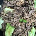 りなゆうと's cooksnap of when they made キャベツと牛肉の甘辛オイスター炒め.