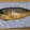 きらり流れ星's cooksnap of when they made わたしの簡単サバの塩焼き.