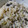 小麦粉【100g】's cooksnap of when they made 焼き海苔消費！海苔の炊き込みご飯.