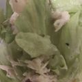 ma___111's cooksnap of when they made ささみのシーザーサラダ.