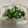 mi_na_ge's cooksnap of when they made 蒸し鶏のネギ塩ダレのせ.
